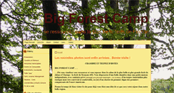 Desktop Screenshot of big-forest-camp.com